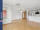 Objekt 290
