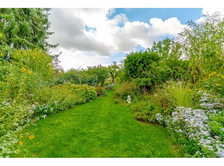 Großzügiger, eingewachsener Garten mit viel Grün und Privatsphäre