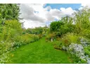Großzügiger, eingewachsener Garten mit viel Grün und Privatsphäre