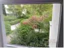 Blick aus dem Fenster