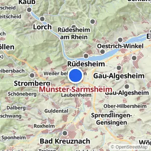 Kartenvorschau Münster-Sarmsheim