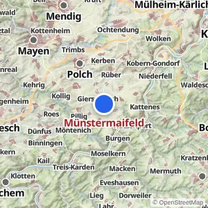 Kartenvorschau Münstermaifeld