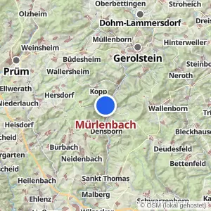 Kartenvorschau Mürlenbach