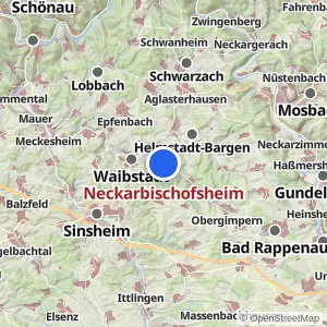 Kartenvorschau Neckarbischofsheim