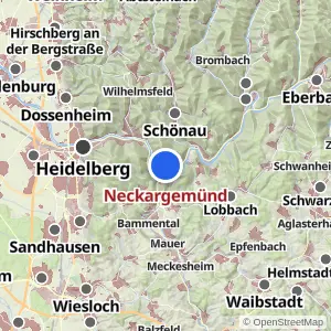 Kartenvorschau Neckargemünd