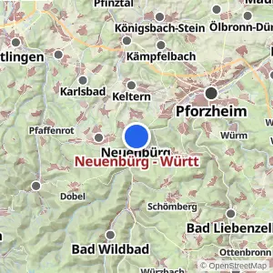 Kartenvorschau Neuenbürg - Württ