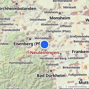 Kartenvorschau Neuleiningen