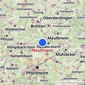 Kartenvorschau Neulingen
