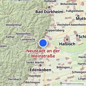 Kartenvorschau Neustadt an der Weinstraße