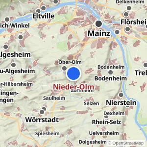 Kartenvorschau Nieder-Olm