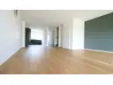 Wohnzimmer - Essbereich - offene Küche mit EBK
