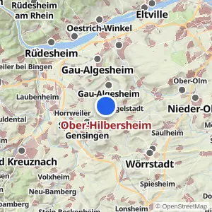 Kartenvorschau Ober-Hilbersheim