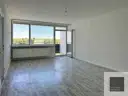Wohn-Esszimmer
