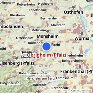 Kartenvorschau Obrigheim (Pfalz)