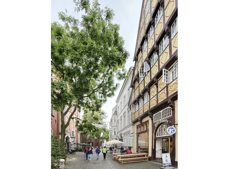 Blick-Rathaus-Marktplatz