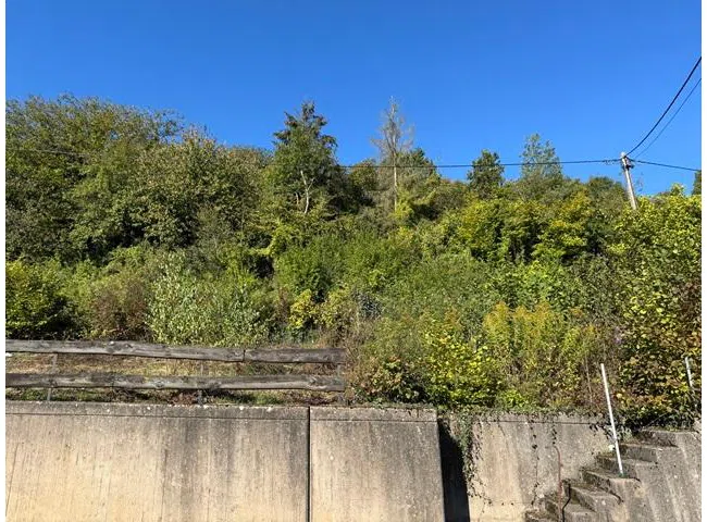 Bild 3 Blick von unten,Ortsstraße