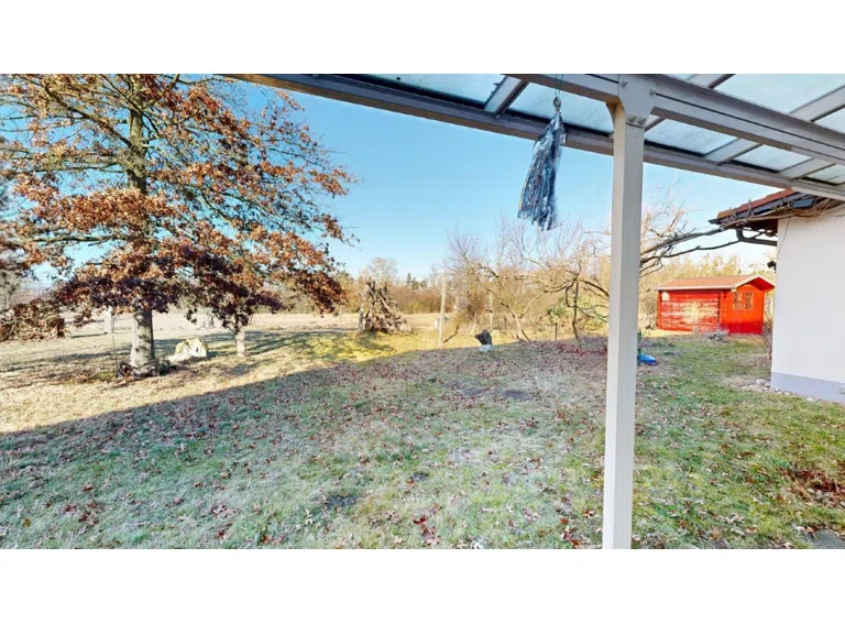 Blick in den Garten