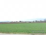 Titelbild für Sie sind auf der Suche nach einer langfristigen Wertanlage in