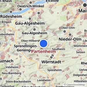 Kartenvorschau Partenheim