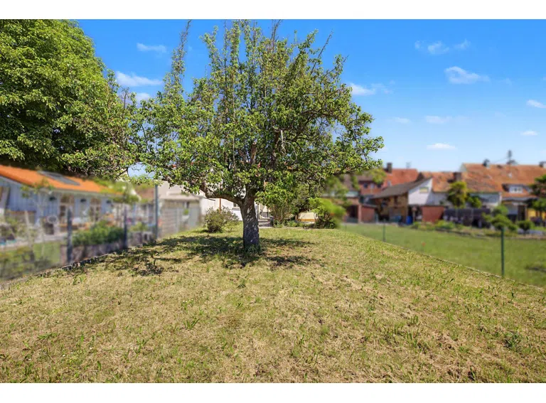 Gartenblick hinter der Birne