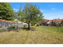 Gartenblick hinter der Birne