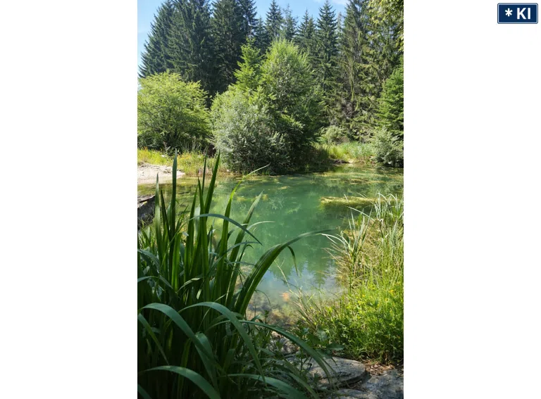 Naturteich
