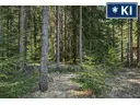 Waldstück