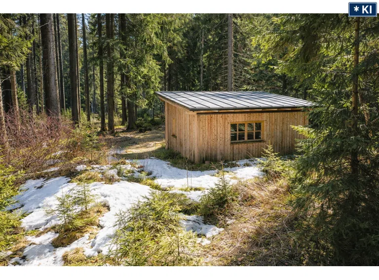 eigenes Waldstück mit Hütte