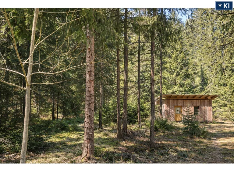 Hütte im Wald