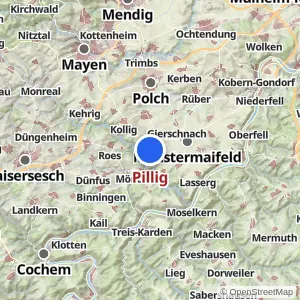 Kartenvorschau Pillig
