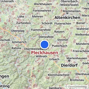 Kartenvorschau Pleckhausen