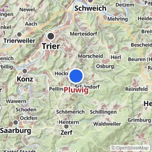 Kartenvorschau Pluwig