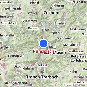 Kartenvorschau Pünderich