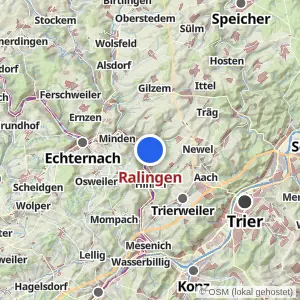 Kartenvorschau Ralingen