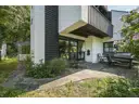 Süd-Terrasse mit altem Baumbestand