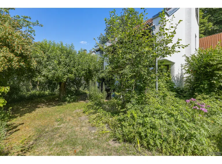 Eingewachsener Garten