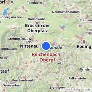 Kartenvorschau Reichenbach - Oberpf