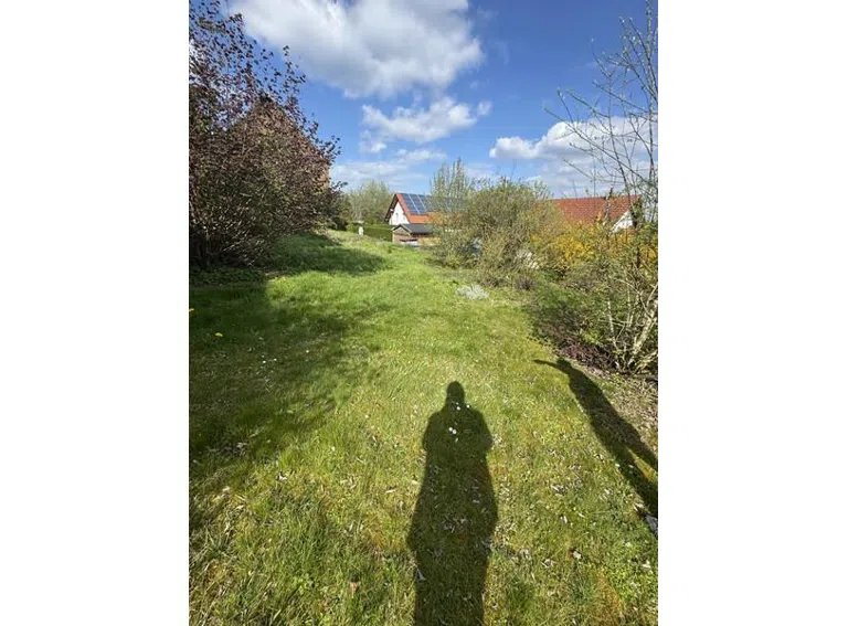 12 Garten
