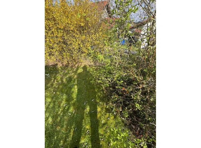 14 Gartengrenze