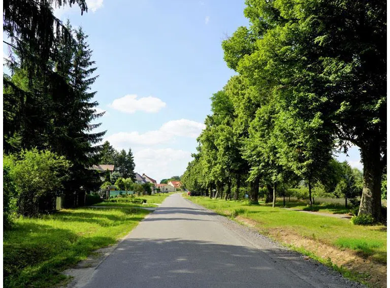 Baugrundstück Umgebung 1