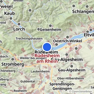 Kartenvorschau Rüdesheim am Rhein