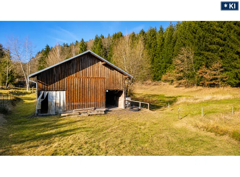 Pferdestallung/Offenstall