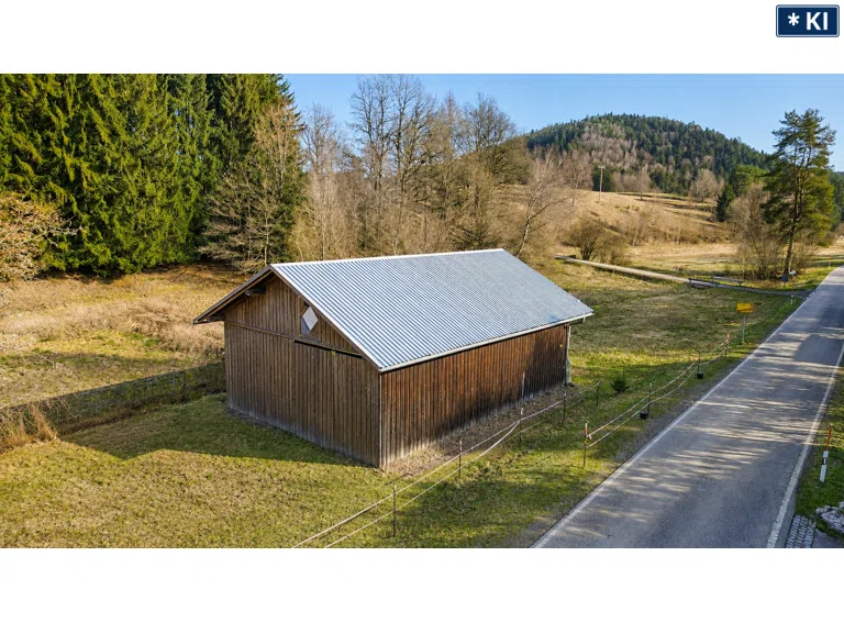 Pferdestallung/Offenstall