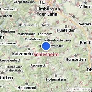 Kartenvorschau Schiesheim