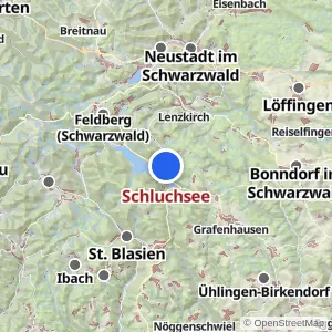 Kartenvorschau Schluchsee