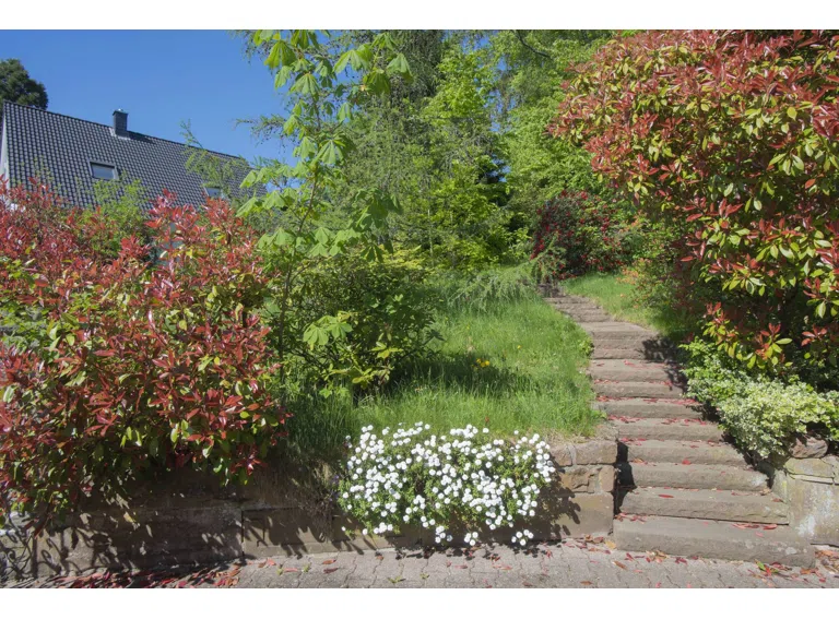 Weg zum Haus