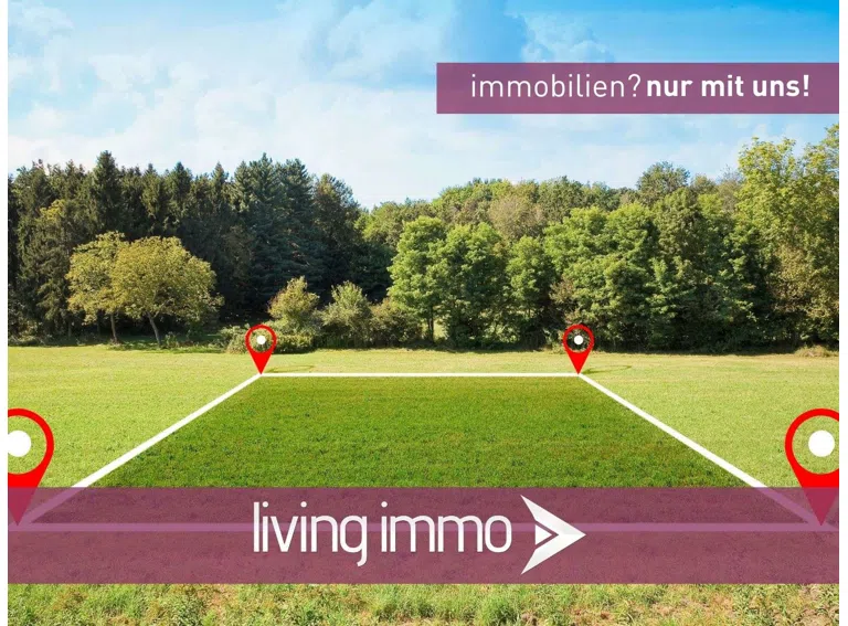 Vorlage Startbild Normal Logo und Fenster living immo Farbe (2)