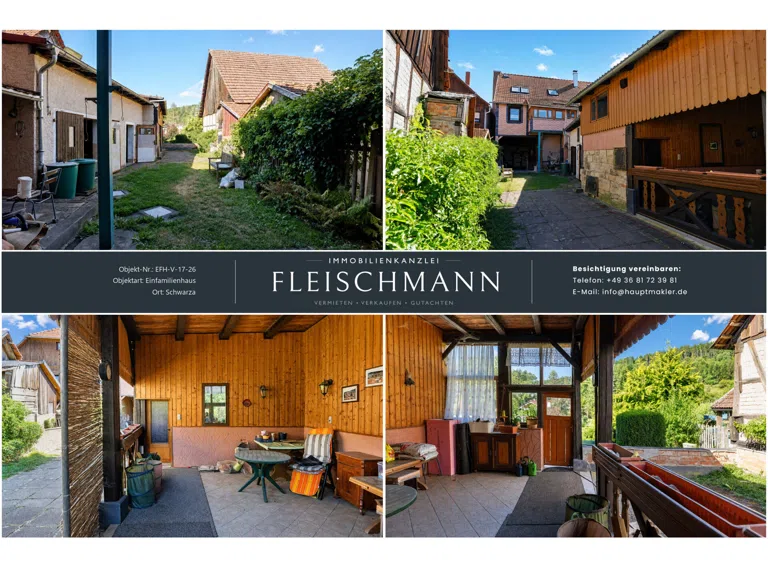 Blick in den Garten/Hinterhof