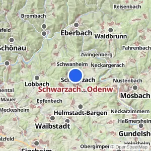 Kartenvorschau Schwarzach - Odenw