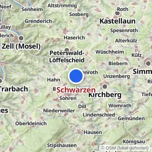 Kartenvorschau Schwarzen